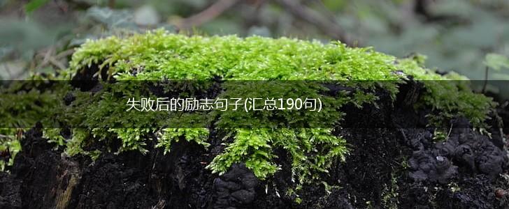 失败后的励志句子(汇总190句),第1张