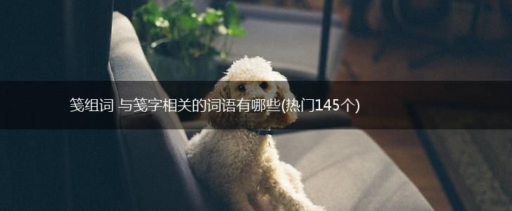 笺组词 与笺字相关的词语有哪些(热门145个),第1张