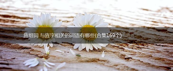 旌组词 与旌字相关的词语有哪些(合集169个),第1张