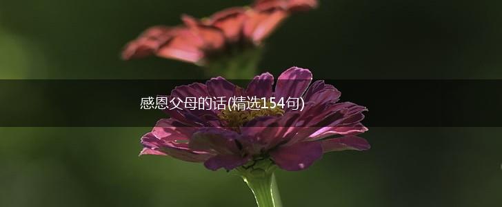 感恩父母的话(精选154句),第1张