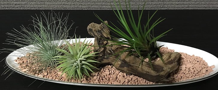 描写天气好的句子(合集98句),第2张