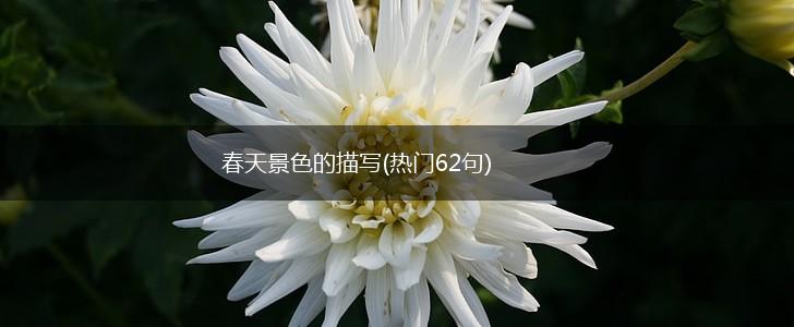 春天景色的描写(热门62句),第1张