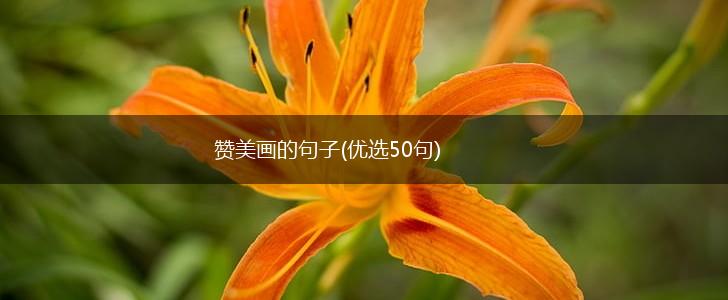 赞美画的句子(优选50句),第1张