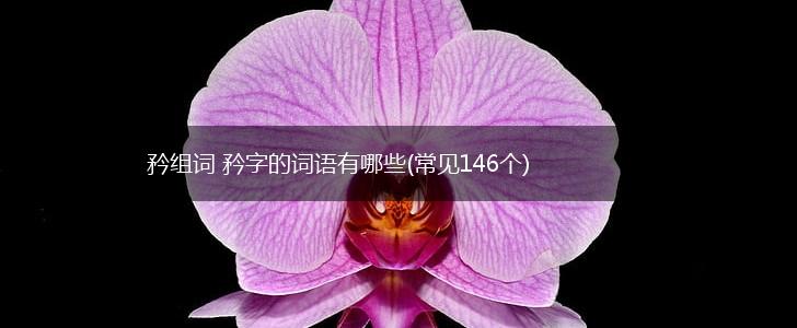 矜组词 矜字的词语有哪些(常见146个),第1张