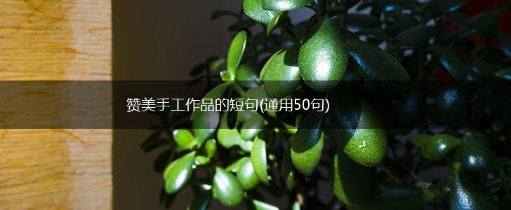 赞美手工作品的短句(通用50句),第1张