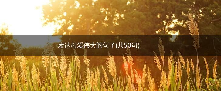 表达母爱伟大的句子(共50句),第1张