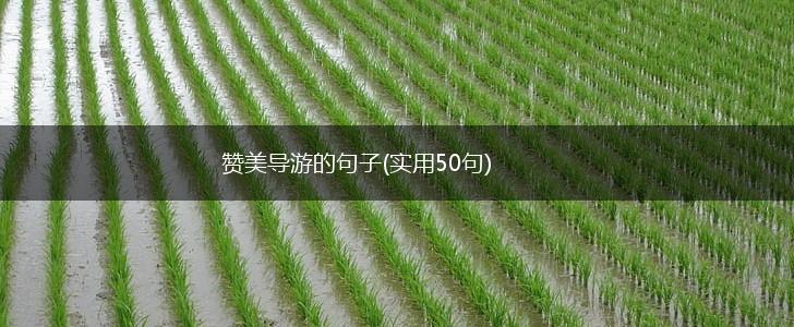 赞美导游的句子(实用50句),第1张
