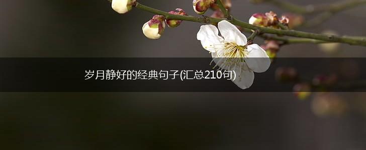 岁月静好的经典句子(汇总210句),第1张