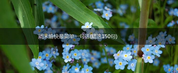 周末愉快最简单一句话(精选150句),第1张
