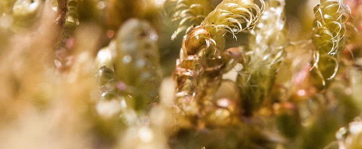 温暖的话语简短(热门160句),第3张