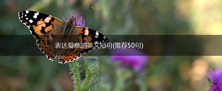 表达爱意的英文短句(推荐50句),第1张