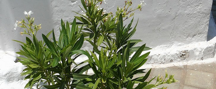 天气很好阳光很美句子(合集93句),第3张