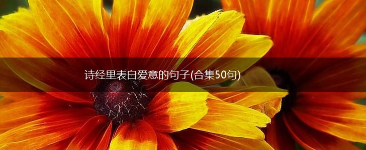 诗经里表白爱意的句子(合集50句),第1张