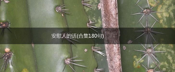 安慰人的话(合集180句),第1张