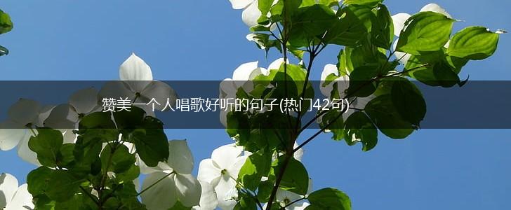 赞美一个人唱歌好听的句子(热门42句),第1张