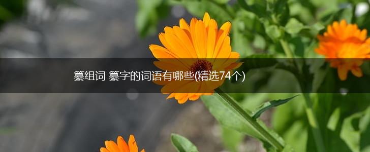 纂组词 纂字的词语有哪些(精选74个),第1张