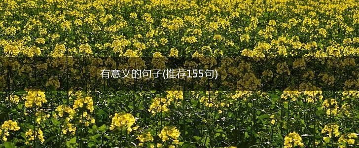有意义的句子(推荐155句),第1张