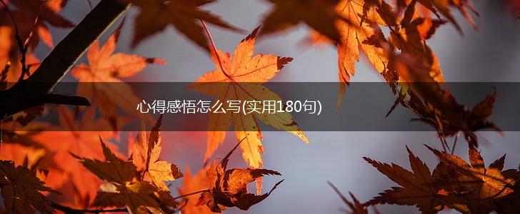 心得感悟怎么写(实用180句),第1张