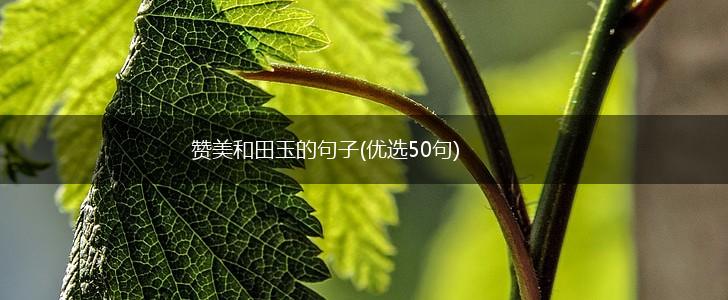 赞美和田玉的句子(优选50句),第1张