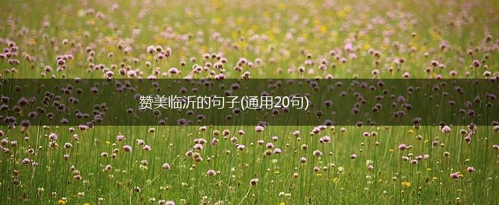 赞美临沂的句子(通用20句),第1张