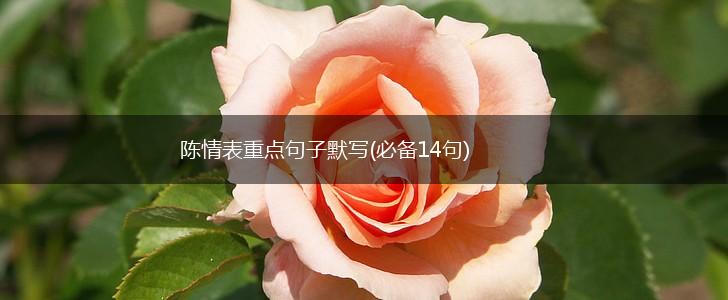 陈情表重点句子默写(必备14句),第1张
