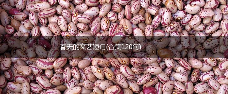 春天的文艺短句(合集120句),第1张