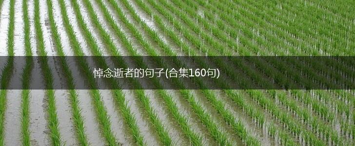 悼念逝者的句子(合集160句),第1张