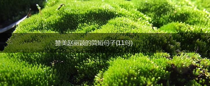 赞美赵丽颖的简短句子(11句),第1张