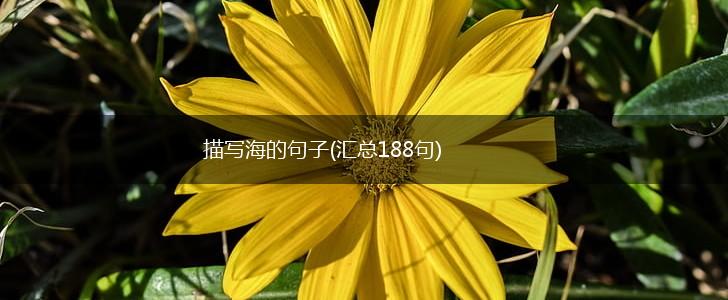 描写海的句子(汇总188句),第1张