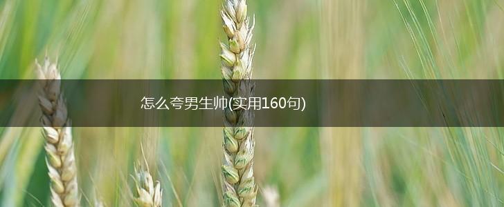 怎么夸男生帅(实用160句),第1张