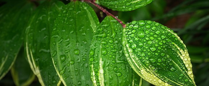 感谢老师的话简短(精选180句),第3张