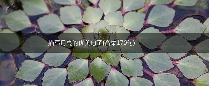描写月亮的优美句子(合集170句),第1张