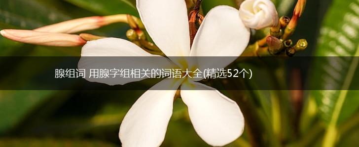 腺组词 用腺字组相关的词语大全(精选52个),第1张