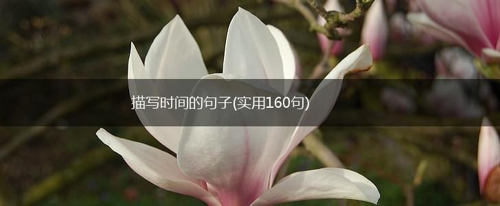 描写时间的句子(实用160句),第1张