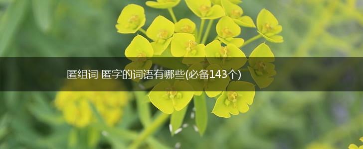 匿组词 匿字的词语有哪些(必备143个),第1张