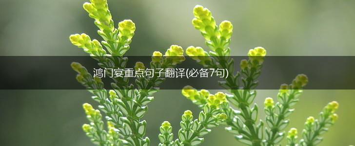 鸿门宴重点句子翻译(必备7句),第1张 鸿门宴重点句子翻译(必备7句),第1张