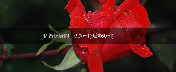 适合纹身的日语短句(优选60句),第1张