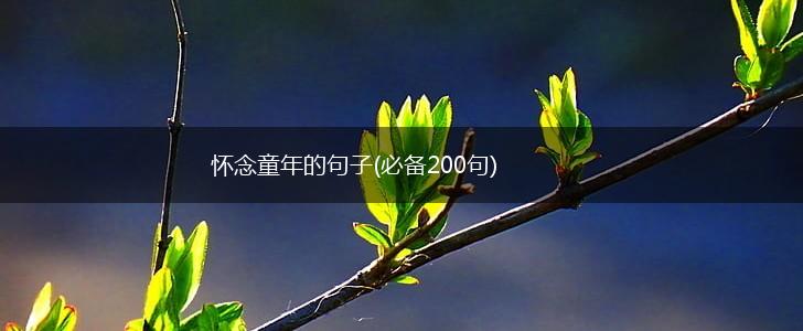 怀念童年的句子(必备200句),第1张