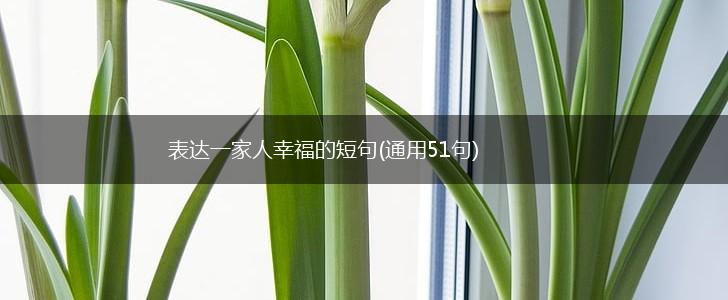 表达一家人幸福的短句(通用51句),第1张