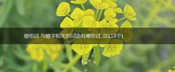 燎组词 与燎字相关的词语有哪些(汇总110个),第1张