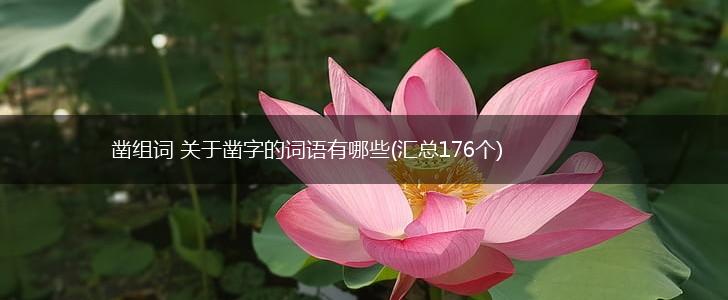 凿组词 关于凿字的词语有哪些(汇总176个),第1张