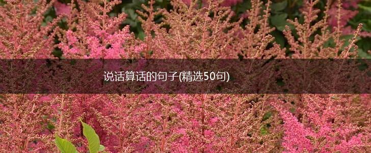 说话算话的句子(精选50句),第1张