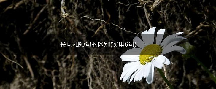 长句和短句的区别(实用6句),第1张