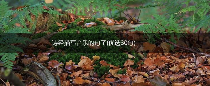 诗经描写音乐的句子(优选30句),第1张