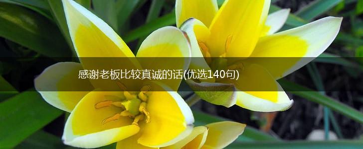 感谢老板比较真诚的话(优选140句),第1张