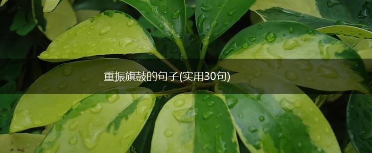 重振旗鼓的句子(实用30句),第1张