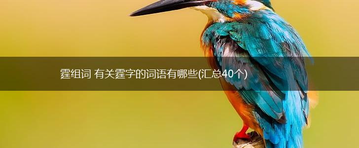 霆组词 有关霆字的词语有哪些(汇总40个),第1张