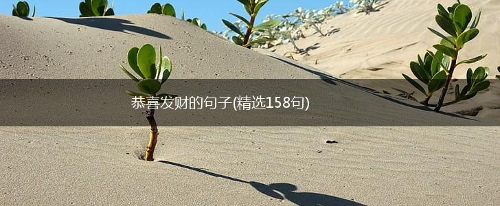 恭喜发财的句子(精选158句),第1张