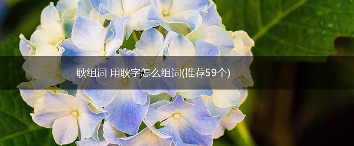 耿组词 用耿字怎么组词(推荐59个),第1张