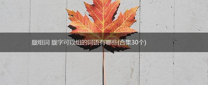 胧组词 胧字可以组的词语有哪些(合集30个),第1张